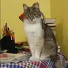Отзыв от Серафима Бессонова
